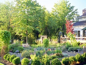 Landscape Program