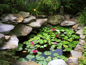 Landscape- Water Features