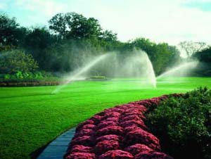 Landscape Irrigation
